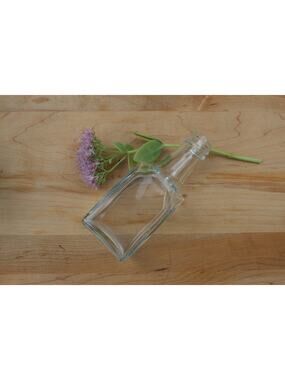 Simple Vintage Clear Glass Bottle / Flower Vase